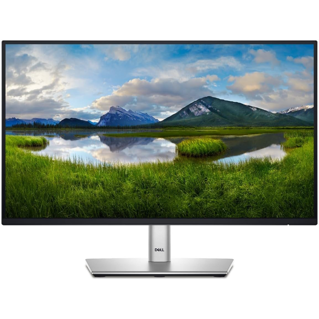 Dell P2422H monitor rear view showing ports and height adjustable stand - DisplayPort HDMI VGA USB hub